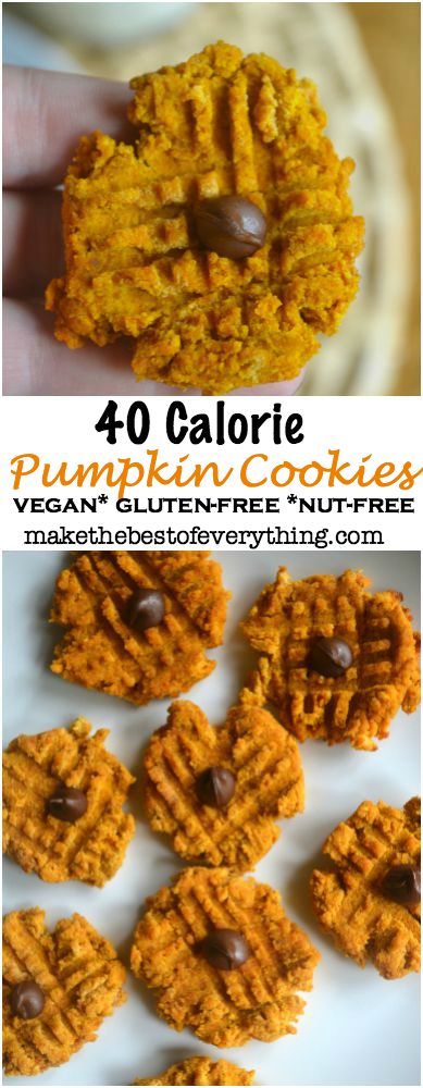 40 Calorie Pumpkin Cookie 01