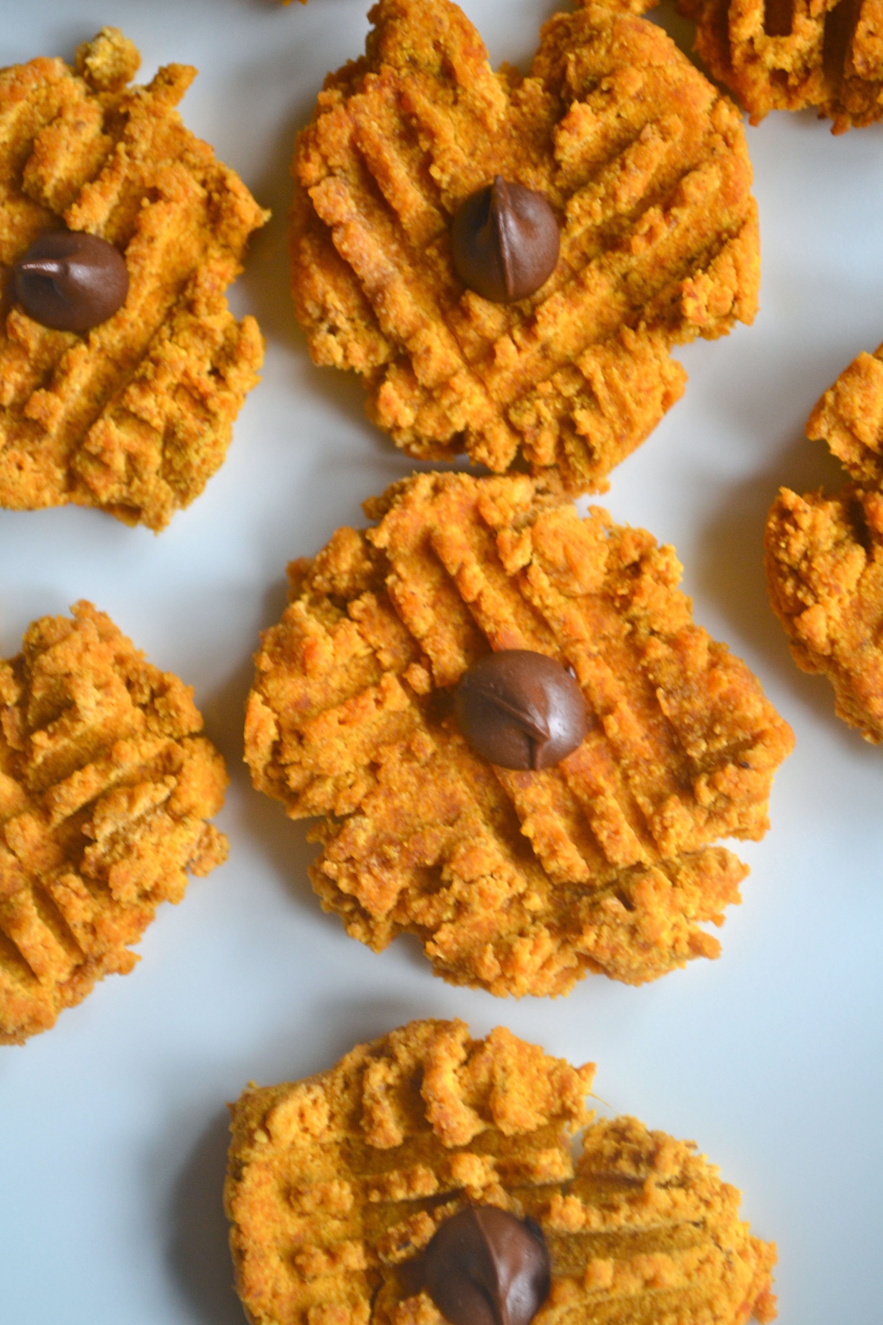 40 Calorie Pumpkin Cookies 3