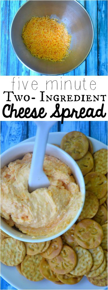Two-Ingredient Cheese Spread