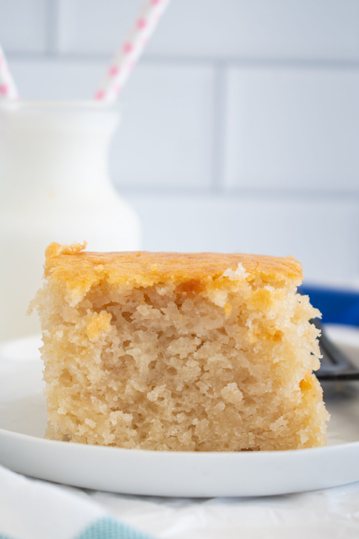 eggless applesauce cake (2)