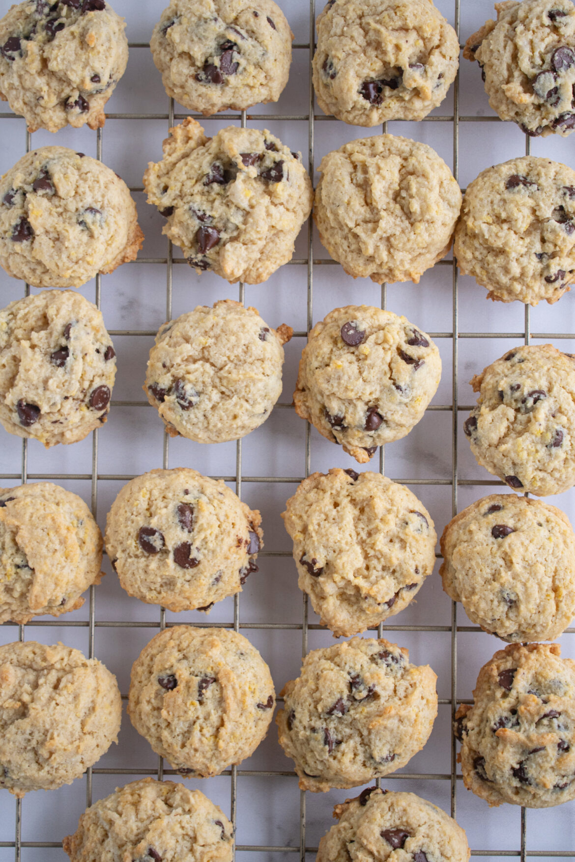 Sour cream chocolate chip cookies (1)